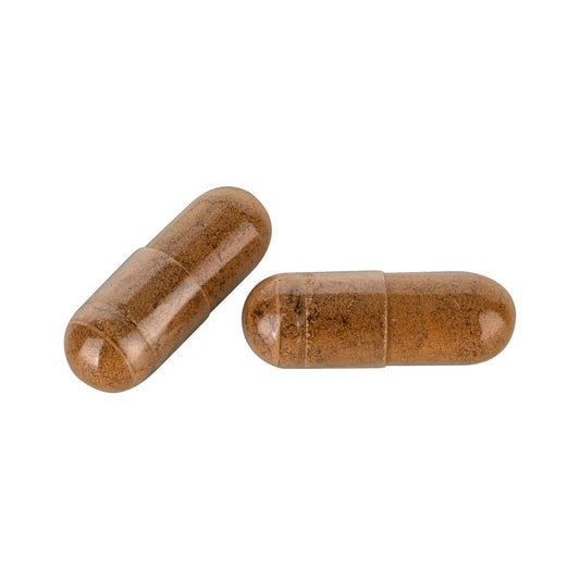 Cordyceps sinensis Pulver Kapseln