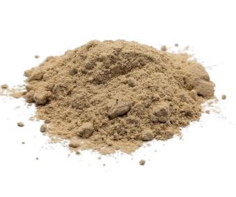 Shiitake Bio Pilzpulver