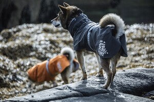 Hurtta Regenmantel Monsoon Coat + Coat Eco II