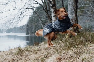 Hurtta Regenmantel Monsoon Coat + Coat Eco II