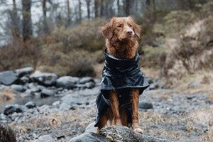 Hurtta Regenmantel Monsoon Coat + Coat Eco II
