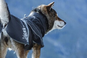 Hurtta Regenmantel Monsoon Coat + Coat Eco II