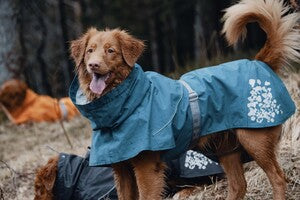 Hurtta Regenmantel Monsoon Coat + Coat Eco II