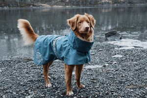 Hurtta Regenmantel Monsoon Coat + Coat Eco II