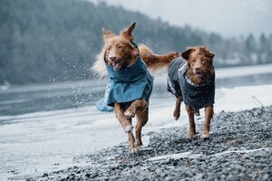 Hurtta Regenmantel Monsoon Coat + Coat Eco II