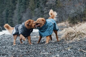 Hurtta Regenmantel Monsoon Coat + Coat Eco II