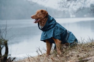 Hurtta Regenmantel Monsoon Coat + Coat Eco II
