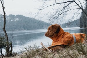 Hurtta Regenmantel Monsoon Coat + Coat Eco II