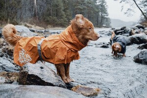Hurtta Regenmantel Monsoon Coat + Coat Eco II