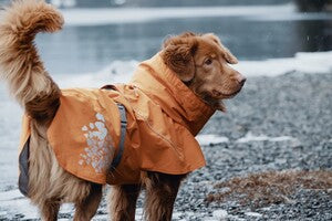 Hurtta Regenmantel Monsoon Coat + Coat Eco II