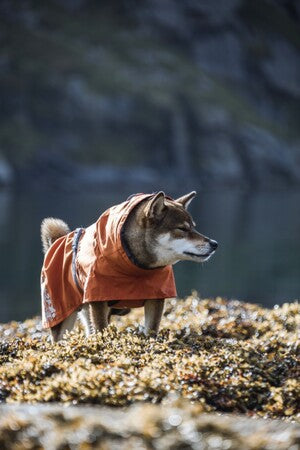 Hurtta Regenmantel Monsoon Coat + Coat Eco II