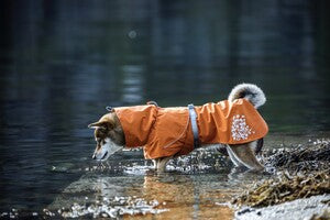 Hurtta Regenmantel Monsoon Coat + Coat Eco II