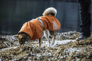 Hurtta Regenmantel Monsoon Coat + Coat Eco II
