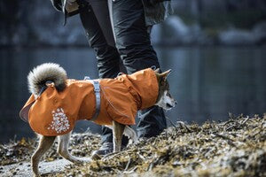 Hurtta Regenmantel Monsoon Coat + Coat Eco II