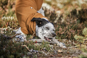 Hurtta Wärmende Hundejacke Warm Midlayer ECO desert