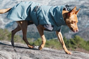 Hurtta Expedition Parka bilberry