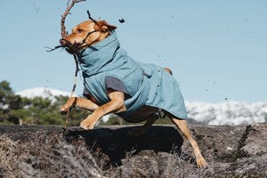 Hurtta Expedition Parka