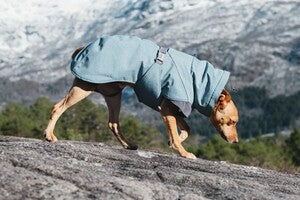 Hurtta Expedition Parka