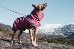 Hurtta Expedition Parka