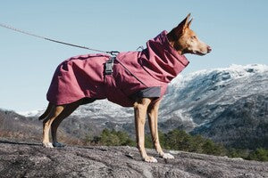 Hurtta Expedition Parka