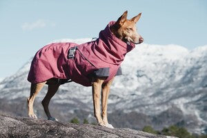 Hurtta Expedition Parka beetroot