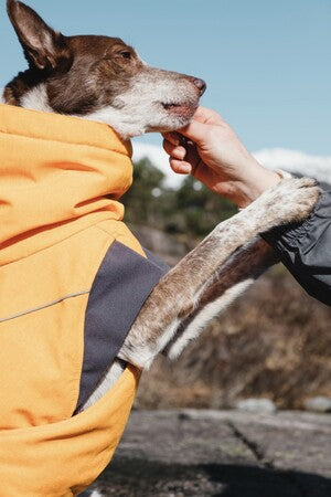 Hurtta Expedition Parka