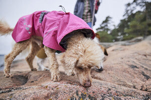 Hurtta Regenmantel Monsoon Coat + Coat Eco II
