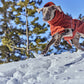 Hurtta Extrem Warmer III Eco mit Ohrenschutz
