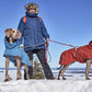 Hurtta Extrem Warmer III Eco mit Ohrenschutz