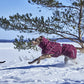 Hurtta Extrem Warmer III Eco mit Ohrenschutz