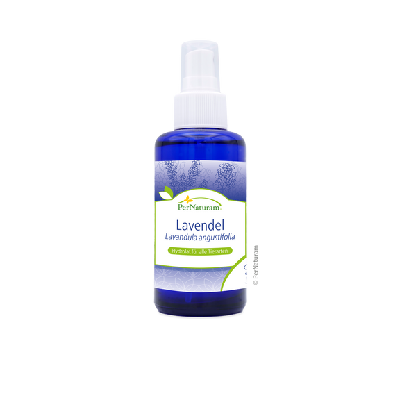 Lavendel Hydrolat