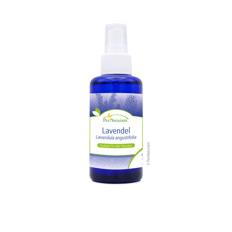 Lavendel Hydrolat