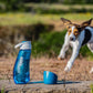 Wasserflasche TO GO für 2