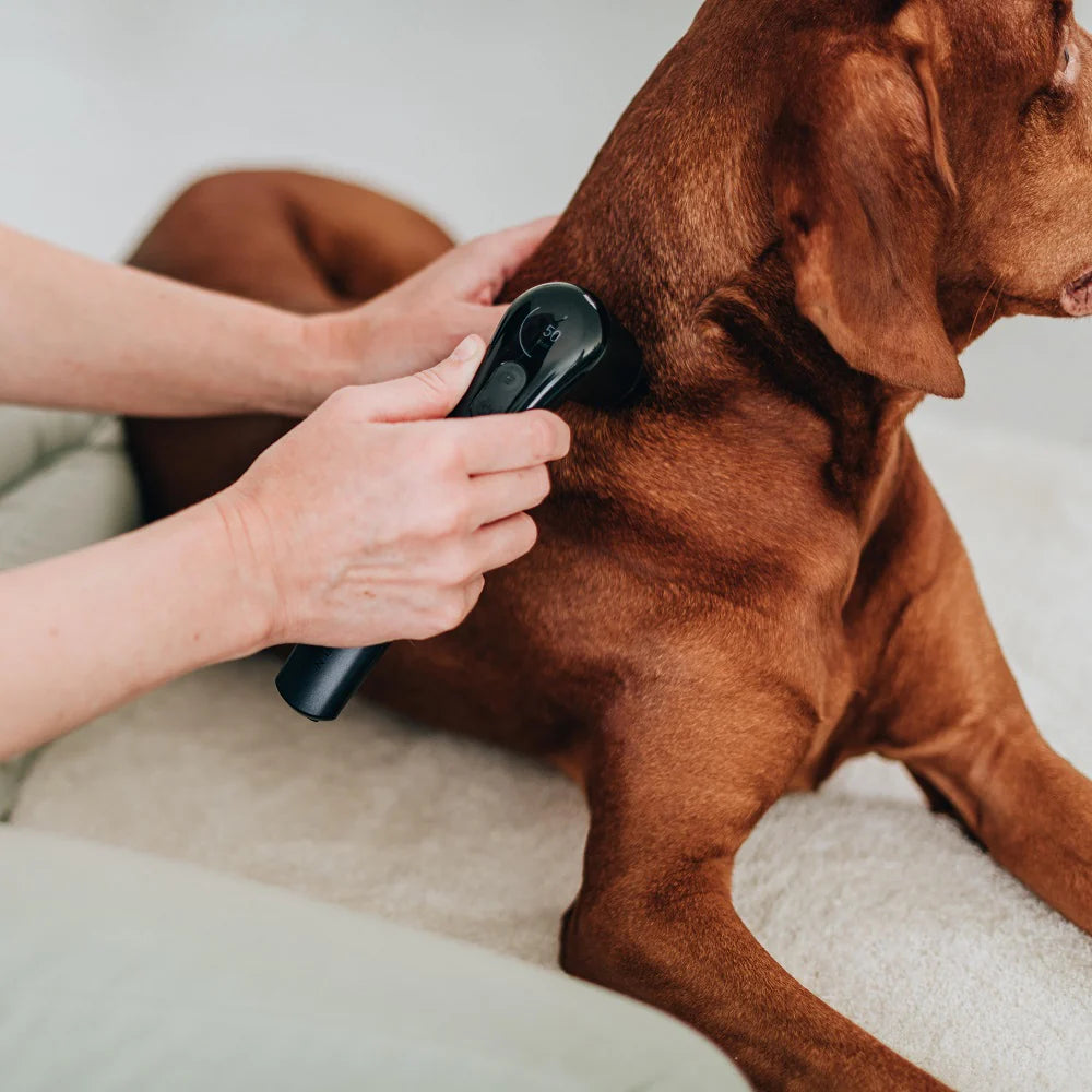 Schallwellen & Vibrationstherapie
